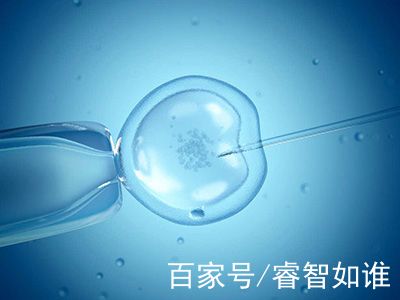 试管代孕费用多少
