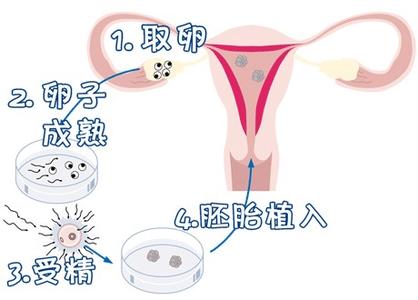 心理科